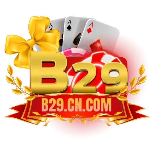 b29.cn.com